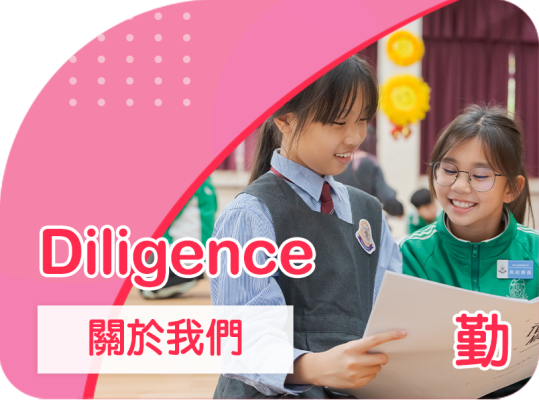 diligence